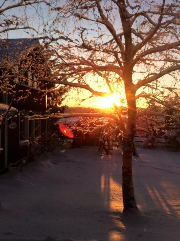 Ilola Maatilamatkailu Valkeakoski Dış mekan fotoğraf